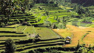 Tropenparadies Bali - Eine Perle Indonesiens Trailer