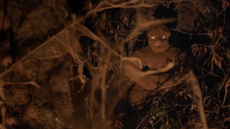 Tumbbad Trailer