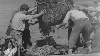Tuna Fishermen Trailer