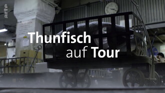 Tuna on Tour Trailer