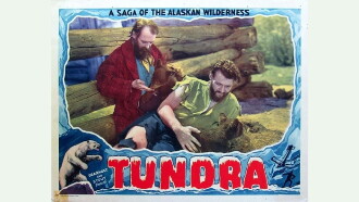 Tundra Trailer