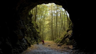 Tunnel Trailer