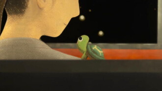Turtle's Stroll Trailer