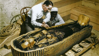 Tutankhamun In Colour Trailer