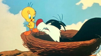 Tweet Tweet Tweety Trailer
