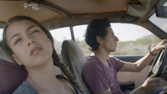 Two Cacti Trailer