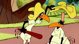 Two Crows from Tacos Trailer