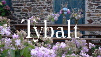 TYBALT Trailer
