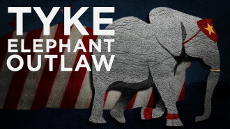 Tyke Elephant Outlaw Trailer