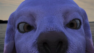 Ug Wug Trailer