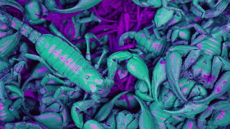 Ultraviolet Trailer