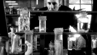 Umbracle Trailer