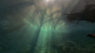 Un fleuve invisible Trailer