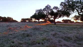 Un Invierno en el Sur Trailer