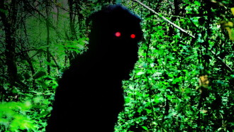 Uncle Boonmee Who Can Recall His Past Lives Trailer