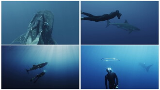 Under the Sea - Lautlos unter Giganten Trailer