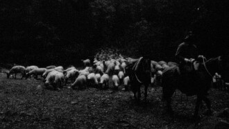 Under the Sky Shelter Trailer