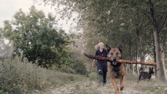 Underdog Trailer