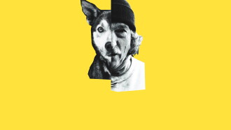 Underdog Trailer