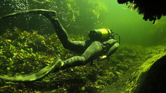 Underwater Okavango Trailer