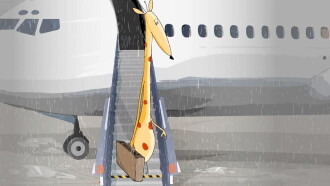 Une girafe sous la pluie Trailer