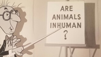 Unnatural History Trailer