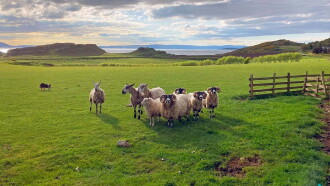 Unterwegs in Schottland Trailer