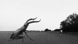 Unto Insecta Trailer