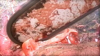 Untot - Kämpfer in der Leichenwelt Trailer