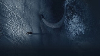 Unwavering Trailer