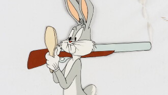 Upswept Hare Trailer
