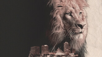 Urban Predator: Lion on the Loose Trailer