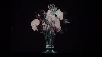 Varieties of Sweet Peas Trailer