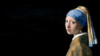 Vermeer and Music Trailer