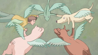 Veterinarian Trailer