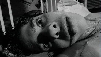 Vicious Trailer