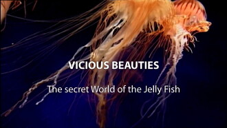 Vicious Beauties: The Secret World of Jellyfish Trailer