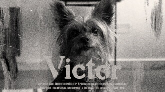 Victor Trailer
