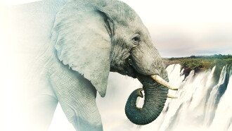 Victoria Falls: Africa's Garden of Eden Trailer