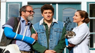 Viele Kühe und ein schwarzes Schaf Trailer