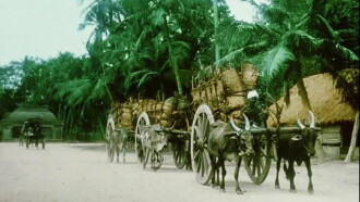 Villenour (French India: Territory of Pondicherry) Trailer