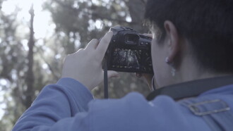 Voces del bosque Trailer