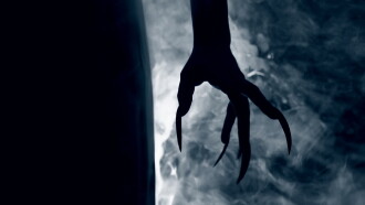 Vork and The Beast Trailer