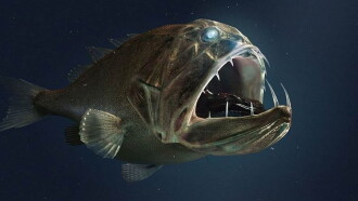 Voyage dans les abysses Trailer