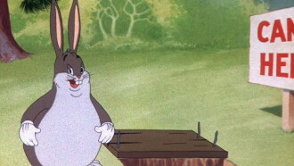Wabbit Twouble Trailer