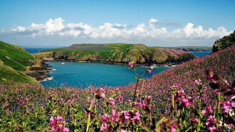 Wales: Great Britain's Wild West Trailer