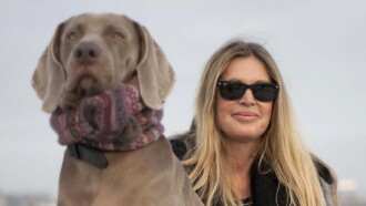 Walking with Dogs: A Wonderland Special Trailer