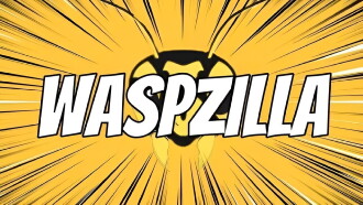 Waspzilla Trailer