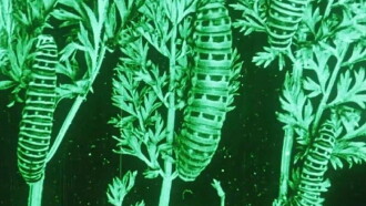 Water, Klimaat en Film Trailer