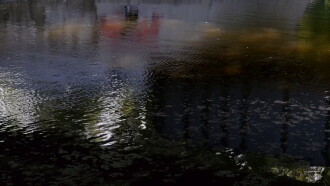 Watercolor (Fall Creek) Trailer
